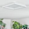Xarel Lampa sufitowa, Panel LED Biały, 1-punktowy
