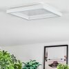 Xarel Lampa sufitowa, Panel LED Biały, 1-punktowy