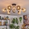 Ripoll lampa sufitowa, kula świetlna bursztynowy, przezroczysty, przydymiony, 10-punktowe