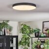 Elmar Lampa sufitowa, Panel LED Czarny, 1-punktowy