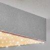 Esmar Lampa sufitowa, Panel LED Srebrny, 1-punktowy