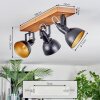 Hagan Lampa sufitowa, Spot sufitowy Ecru, Czarny, 3-punktowe