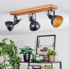 Hagan Lampa sufitowa, Spot sufitowy Ecru, Czarny, 3-punktowe