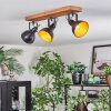 Hagan Lampa sufitowa, Spot sufitowy Ecru, Czarny, 3-punktowe