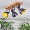 Hagan Lampa sufitowa, Spot sufitowy Ecru, Czarny, 3-punktowe