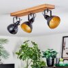 Hagan Lampa sufitowa, Spot sufitowy Ecru, Czarny, 3-punktowe