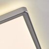 Simonstorp Lampa sufitowa, Panel LED Srebrny, Biały, 1-punktowy