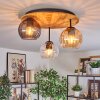 Koyoto lampa sufitowa, kula świetlna 40 cm kolory naturalne, czarny, 3-punktowe