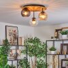Koyoto lampa sufitowa, kula świetlna 40 cm kolory naturalne, czarny, 3-punktowe