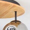 Ripoll lampa sufitowa, kula świetlna kolory naturalne, czarny, 3-punktowe