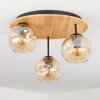 Ripoll lampa sufitowa, kula świetlna kolory naturalne, czarny, 3-punktowe