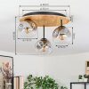 Ripoll lampa sufitowa, kula świetlna kolory naturalne, czarny, 3-punktowe