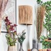 Cardeal lampa up & down, kinkiet czarny, 1-punktowy