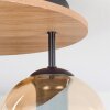 Koyoto lampa sufitowa, kula świetlna 40 cm kolory naturalne, czarny, 3-punktowe