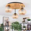 Koyoto lampa sufitowa, kula świetlna 40 cm kolory naturalne, czarny, 3-punktowe