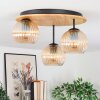 Koyoto lampa sufitowa, kula świetlna 40 cm kolory naturalne, czarny, 3-punktowe