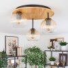 Koyoto lampa sufitowa, kula świetlna 40 cm kolory naturalne, czarny, 3-punktowe