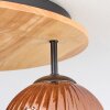 Ripoll lampa sufitowa, kula świetlna kolory naturalne, czarny, 3-punktowe