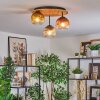 Ripoll lampa sufitowa, kula świetlna kolory naturalne, czarny, 3-punktowe