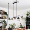 Gastor Lampa wisząca, Kula świetlna, Lampa wisząca Niebeieski, Chrom, Zielony, Przezroczysty, W kolorze miedzi, Przydymiony, 5-punktowe