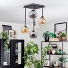 Ripoll lampa sufitowa, kula świetlna bursztynowy, przezroczysty, przydymiony, 5-punktowe