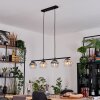 Koyoto lampa wisząca, kula świetlna, lampa wisząca bursztynowy, przezroczysty, przydymiony, 4-punktowe