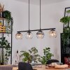 Koyoto lampa wisząca, kula świetlna, lampa wisząca bursztynowy, przezroczysty, przydymiony, 4-punktowe