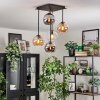 Koyoto lampa sufitowa, kula świetlna bursztynowy, chrom, przezroczysty, przydymiony, 5-punktowe