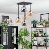 Ripoll lampa sufitowa, kula świetlna bursztynowy, przydymiony, 5-punktowe