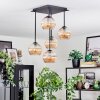 Koyoto lampa sufitowa, kula świetlna bursztynowy, 5-punktowe