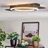 Lidor Lampa sufitowa LED Czarny, Srebrny, 1-punktowy