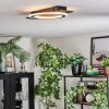 Lidor Lampa sufitowa LED Czarny, Srebrny, 1-punktowy