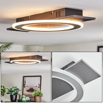 Lidor Lampa sufitowa LED Czarny, Srebrny, 1-punktowy