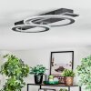 Lidor Lampa sufitowa LED Czarny, Srebrny, 1-punktowy