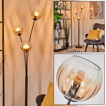 Koyoto Kula świetlna, Lampa stojąca W kolorze bursztynu, Przezroczysty, 3-punktowe