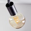 Geira Lampa sufitowa, Spot sufitowy Czarny, 3-punktowe