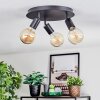 Geira Lampa sufitowa, Spot sufitowy Czarny, 3-punktowe