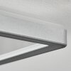 Simonstorp Lampa sufitowa, Panel LED Srebrny, Biały, 1-punktowy