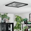 Ilyan Lampa sufitowa, Panel LED Czarny, 1-punktowy