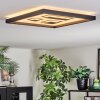 Ilyan Lampa sufitowa, Panel LED Czarny, 1-punktowy