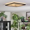 Ilyan Lampa sufitowa, Panel LED Czarny, 1-punktowy