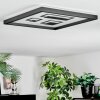 Ilyan Lampa sufitowa, Panel LED Czarny, 1-punktowy