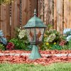 Naofe słupek ogrodowy niski, słupek ogrodowy zielony, czarny, 1-punktowy