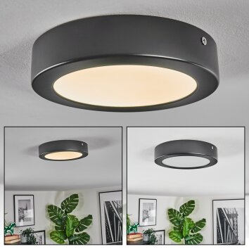 Isela Lampa sufitowa, Panel LED Czarny, 1-punktowy