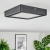 Isela Lampa sufitowa, Panel LED Czarny, 1-punktowy