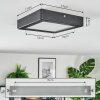 Isela Lampa sufitowa, Panel LED Czarny, 1-punktowy