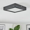 Isela Lampa sufitowa, Panel LED Czarny, 1-punktowy