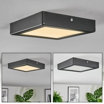 Isela Lampa sufitowa, Panel LED Czarny, 1-punktowy