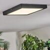 Isela Lampa sufitowa, Panel LED Czarny, 1-punktowy