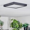 Isela Lampa sufitowa, Panel LED Czarny, 1-punktowy